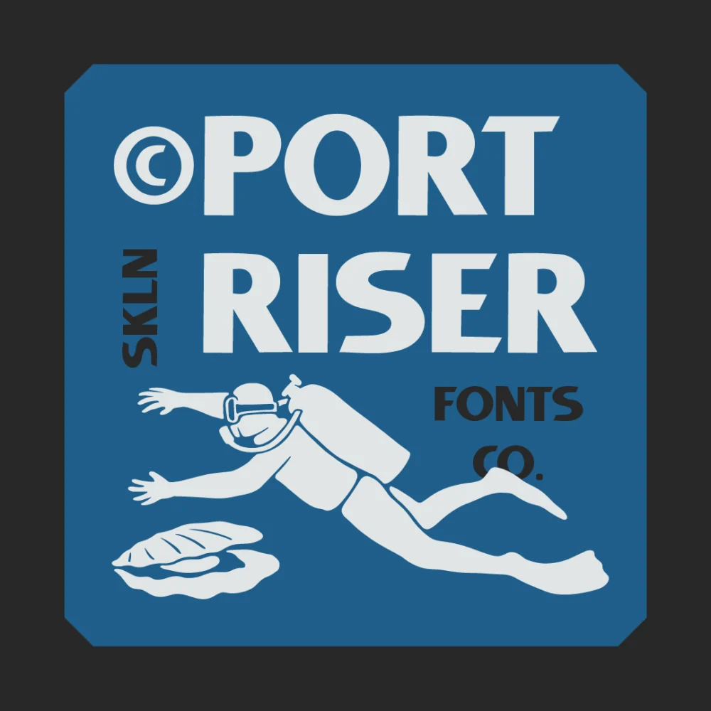 SFC Port Riser